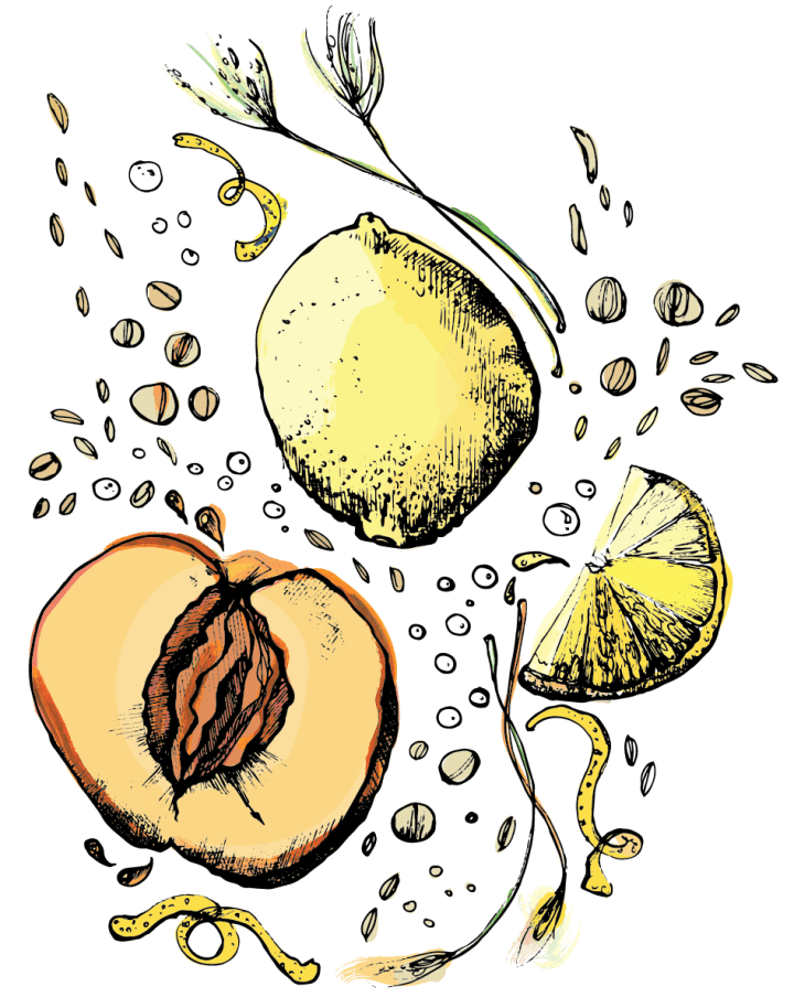 Perennial Peach Berliner Weiss