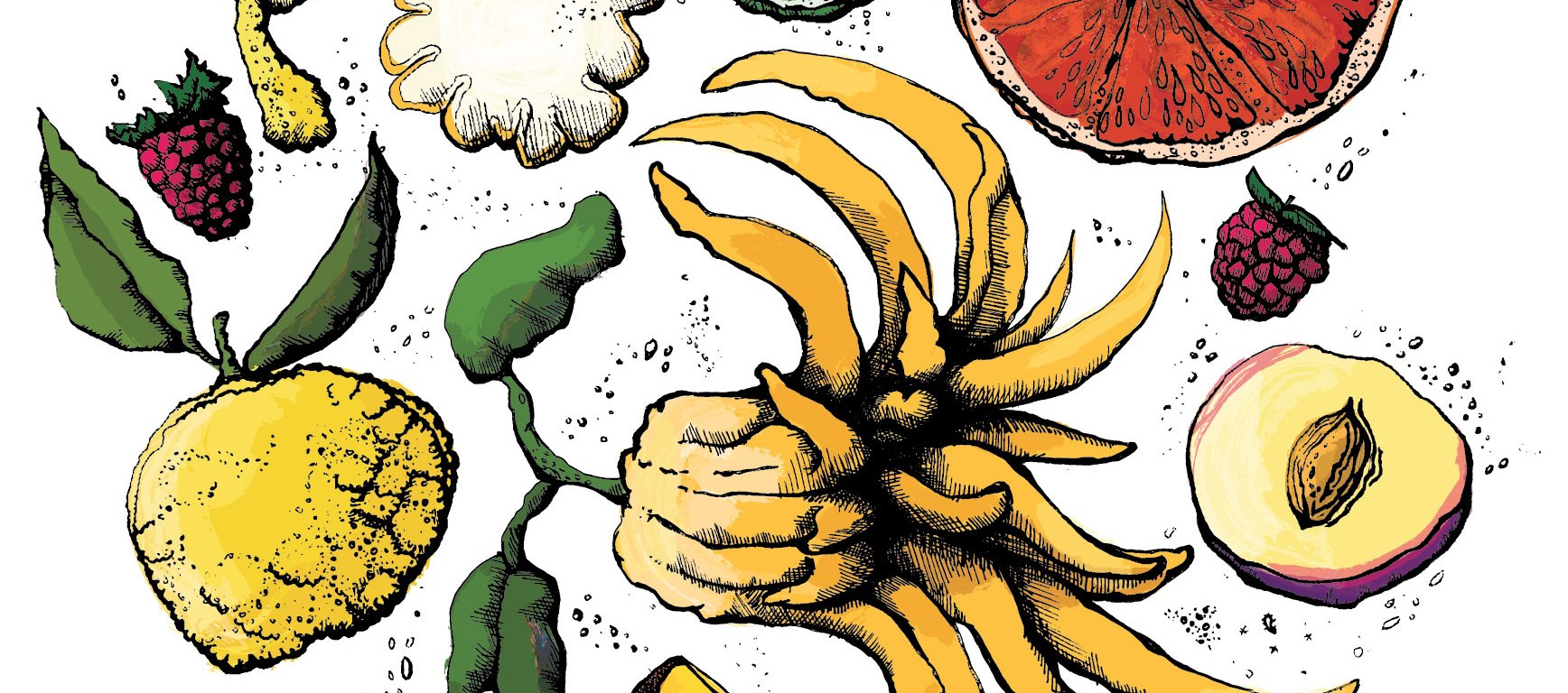 Almanac Brewing Farmer's Reserve Citrus