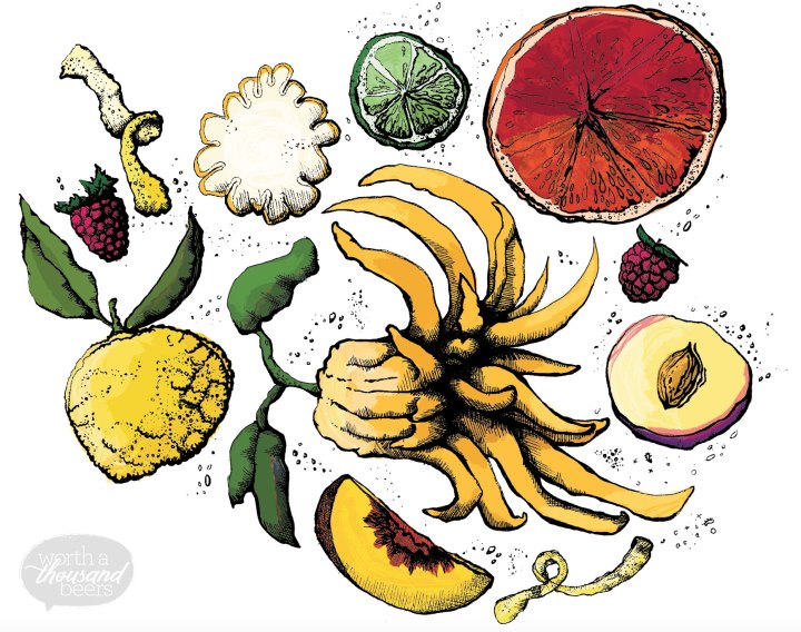 Almanac Brewing Farmer's Reserve Citrus