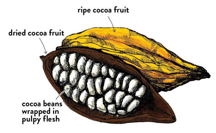 Screen Shot 2016-02-13 at 4.14.40 PM