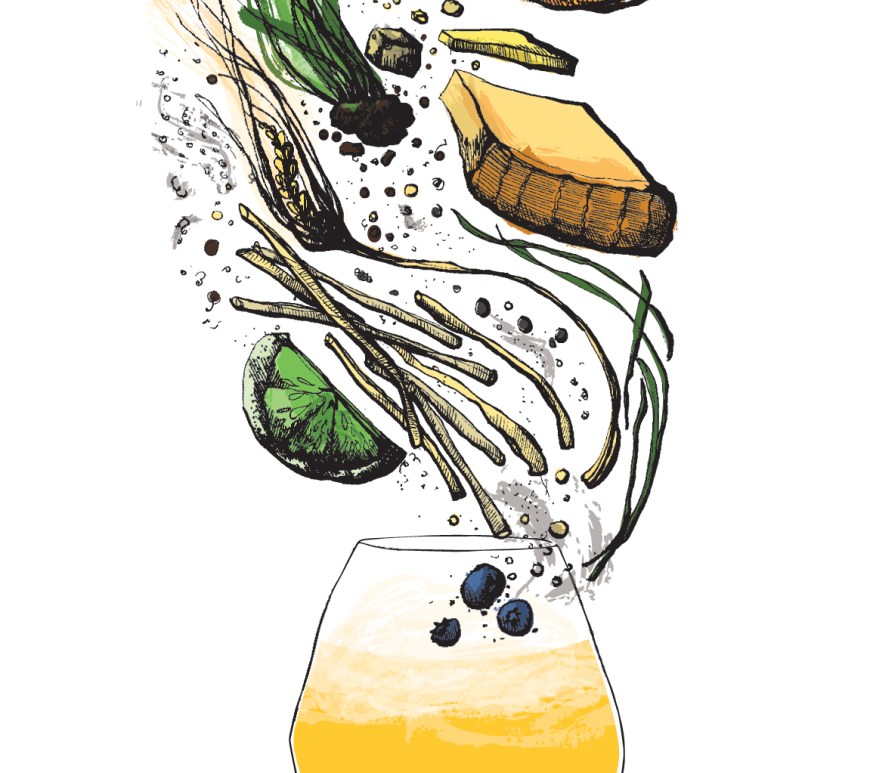 Brett beer flavor and aroma illustration