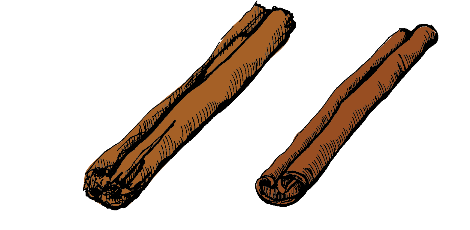 Ceylon Cinnamon and Cassia Cinnamon