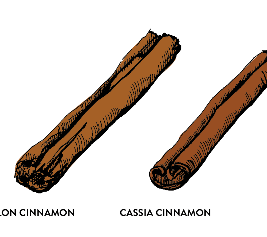 Ceylon Cinnamon and Cassia Cinnamon