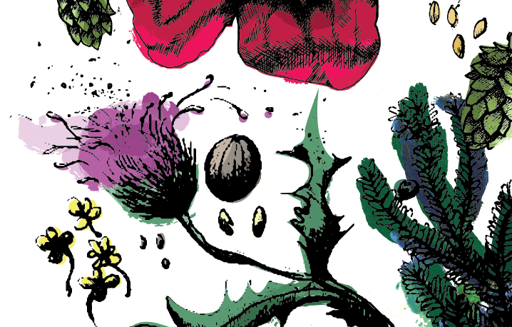 Screen Shot 2017-06-18 at 8.24.41 PM