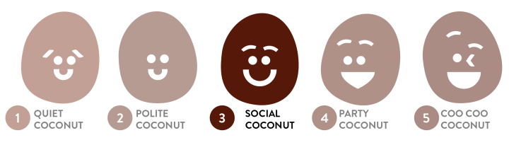 Social Coconut